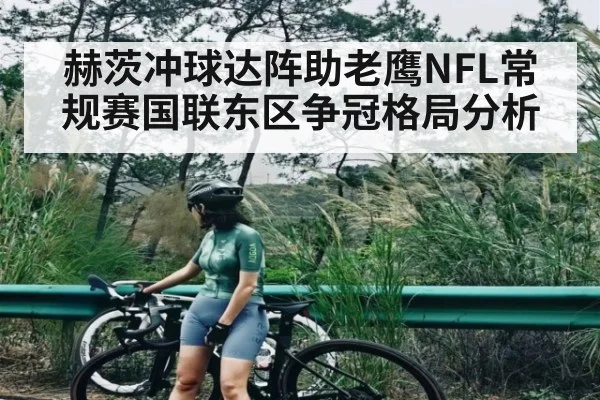 赫茨冲球达阵助老鹰NFL常规赛国联东区争冠格局分析