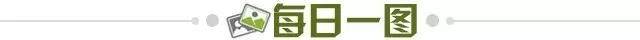 20a841ba-0700-4333-8157-bd3a2ae3b8bd.jpg@!img01